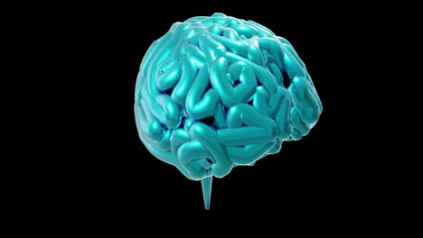 Animation-of-blue-human-brain-spinning-on-black-background