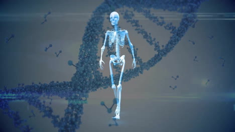 Animation-Eines-Digitalen-Menschlichen-Modells-über-Einem-DNA-Strang-Auf-Weißem-Hintergrund