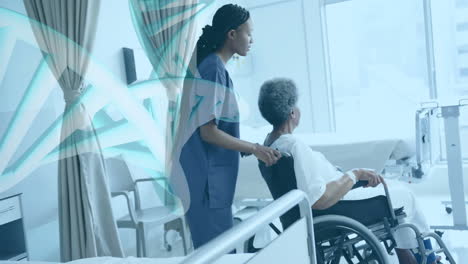 Animation-of-dna-strands-over-diverse-female-doctor-and-patient-in-wheelchair-in-hospital
