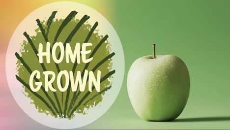 Composition-of-home-grown-text,-green-apple-on-green-background