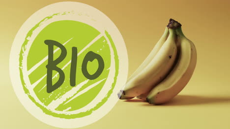 Animation-of-bio-text-on-green-circle-over-bananas-on-yellow-background