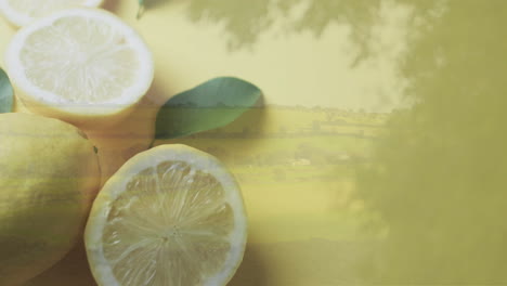 Komposition-Aus-Landschaft-über-Zitronenscheiben-Im-Hintergrund