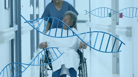 Animation-of-dna-strands-over-diverse-female-doctor-and-patient-in-hospital
