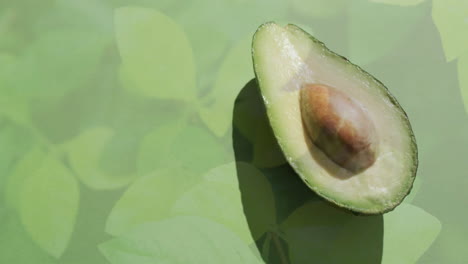 Zusammensetzung-Der-Halbierten-Avocado-über-Grüne-Blätter-Hintergrund