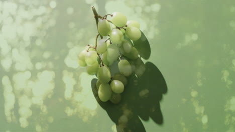 Composition-of-white-grapes-over-trees-background