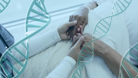 Animation-of-dna-strands-over-diverse-female-doctor-and-patient-holding-hands-in-hospital