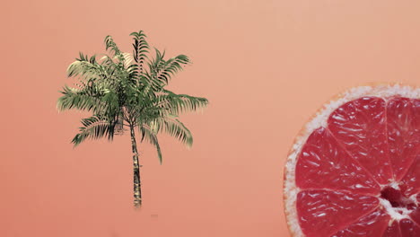 Composition-of-halved-grapefruit-and-palm-tree-on-red-background
