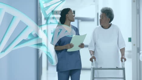 Animation-of-dna-strand-over-diverse-female-doctor-and-patient-in-hospital