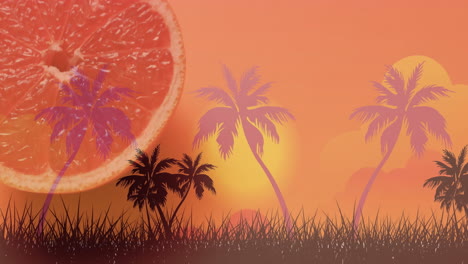 Komposition-Aus-Halbierten-Grapefruits-über-Palmen-Und-Sonnenuntergangslandschaft-Im-Hintergrund