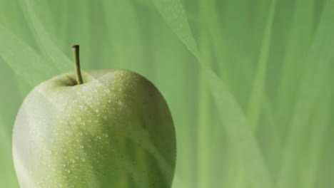 Composition-of-green-apple-and-grass-on-green-background