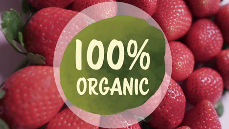 Animation-of-100-percent-organic-text-on-circle-over-strawberries-background