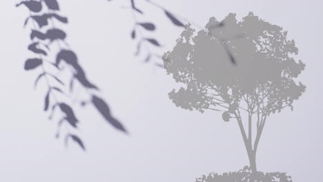 Animation-Des-Blattschattens,-Der-Sich-über-Einen-Baum-Auf-Weißem-Hintergrund-Bewegt
