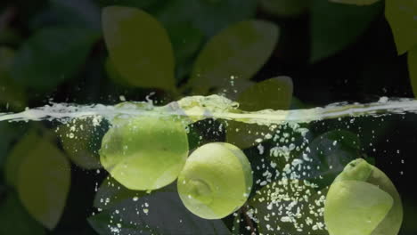 Komposition-Aus-Grünen-Blättern-über-Im-Wasser-Schwimmenden-Zitronen-Auf-Schwarzem-Hintergrund