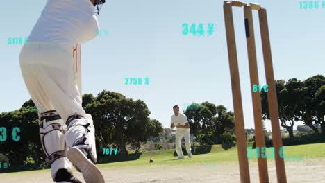Animation-of-digital-data-processing-over-diverse-cricketers-on-field