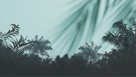 Animation-of-silhouettes-of-palm-trees-and-plants-over-white-background
