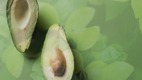 Composition-of-halved-avocados-and-leaves-on-green-background