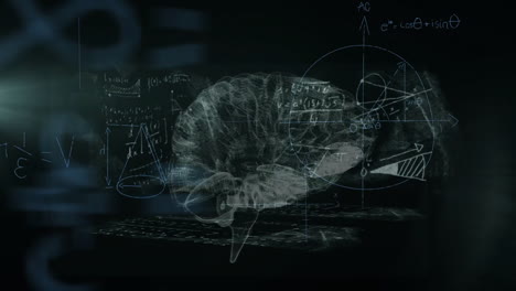 Animation-Mathematischer-Gleichungen-über-Dem-Digitalen-Gehirn-Auf-Schwarzem-Hintergrund
