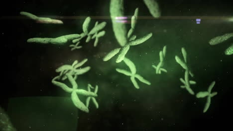 Animation-Der-Digitalen-Datenverarbeitung-über-Das-Spinnen-Von-DNA-Strängen