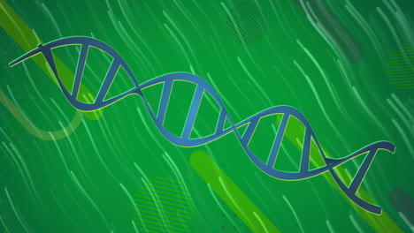 Animation-Eines-DNA-Strangs-Und-Datenverarbeitung-über-Leuchtende-Lichtspuren