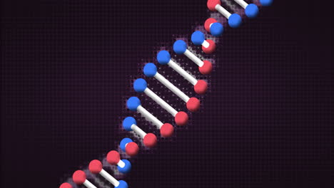 Animation-Eines-Sich-Bewegenden-DNA-Strangs-Auf-Schwarzem-Hintergrund