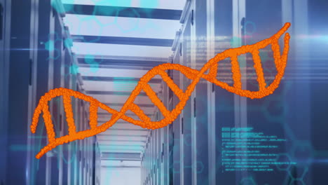 Animation-of-orange-dna-strand-and-data-processing-over-computer-server-room