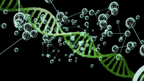 Animation-Des-Netzwerks-Von-Verbindungen-Mit-Symbolen-über-DNA-Strang-Auf-Schwarzem-Hintergrund