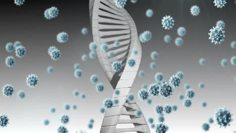 Animation-Von-Viruszellen-Und-DNA-Strang-Auf-Weißem-Hintergrund