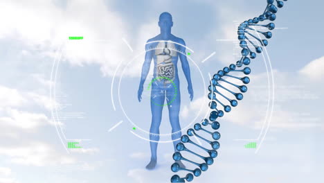 Animation-Von-DNA-Strang,-Skelett-Und-Wissenschaftlicher-Datenverarbeitung