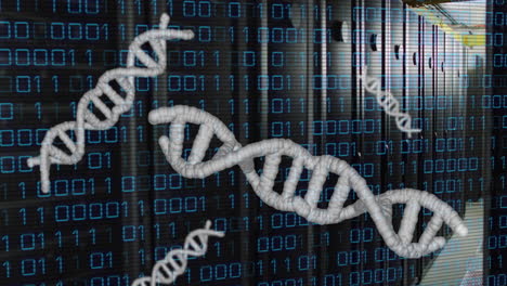 Animation-Von-DNA-Strängen,-Binärkodierung-Und-Datenverarbeitung-über-Computerserver