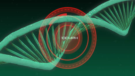 Animation-of-dna-strand-and-data-processing-over-scope