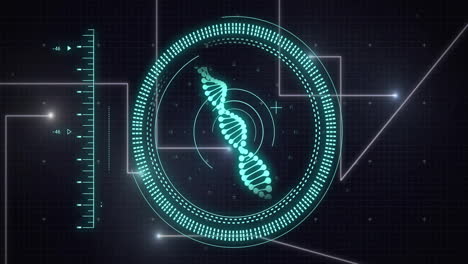 Animation-Von-Umfang,-DNA-Strang-Und-Datenverarbeitung-Auf-Schwarzem-Hintergrund