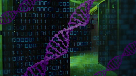 Animation-of-dna-strand,-binary-coding-and-data-processing-over-computer-servers