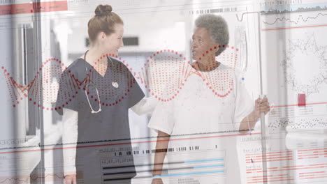 Animation-of-dna-on-interface-over-diverse-female-doctor-walking-with-senior-female-patient