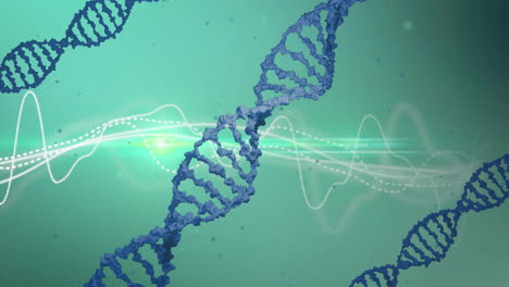 Animation-of-dna-strands,-light-trails-and-data-processing-over-green-background
