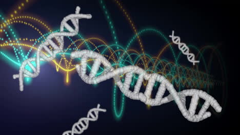 Animation-of-dna-strands,-light-trails-and-data-processing-over-dark-background