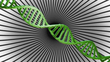 Animation-of-dna-strand-and-data-processing-over-spinning-stripes