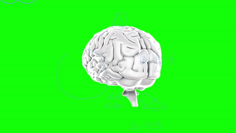 Animation-of-spinning-brain-over-mathematical-equations