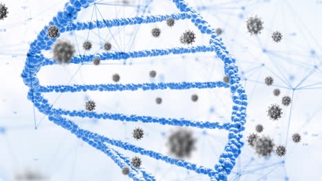 Animation-Von-Viruszellen-Und-DNA-Strang-Auf-Weißem-Hintergrund