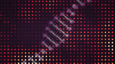 Animation-of-dna-spinning-over-rows-of-red-spots-on-black-background