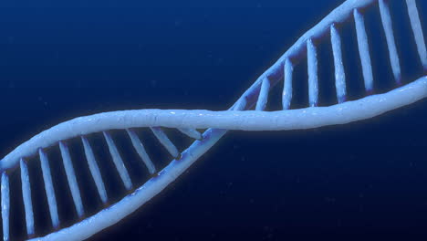 Animation-Eines-DNA-Strangs,-Der-Sich-über-Blauem-Hintergrund-Dreht
