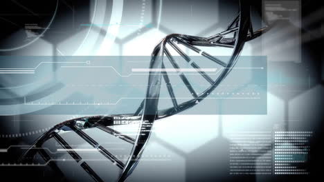 Animation-of-dna-strand-and-data-processing-on-grey-background