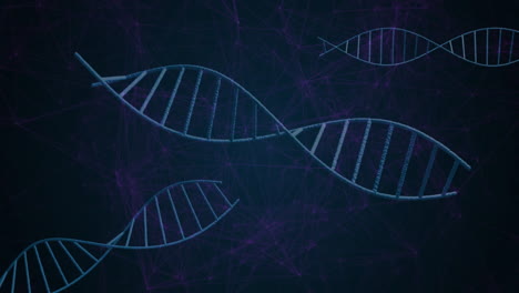 Animation-Von-DNA-Strängen-über-Ein-Netzwerk-Von-Verbindungen-Auf-Schwarzem-Hintergrund