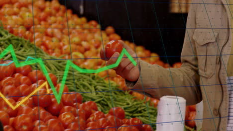 Animation-of-data-processing-and-diagrams-over-caucasian-woman-picking-tomatoes-in-shop
