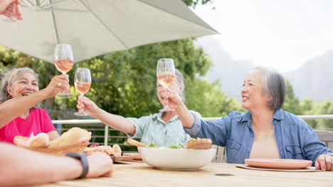 Senior-diverse-group-of-women-enjoying-a-toast-outdoors