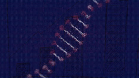 Animation-Eines-DNA-Strangs-über-Einem-Diagramm-Auf-Blauem-Hintergrund