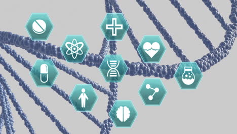 Animation-Medizinischer-Symbole-über-DNA-Auf-Grauem-Hintergrund