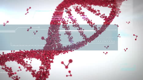 Animation-of-dna-strand-and-data-processing-on-white-background