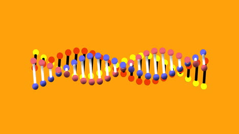 Animation-of-dna-rotating-on-orange-background-and-in-black-circular-scanner