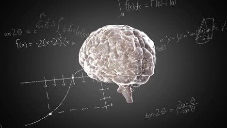 Animation-of-spinning-brain-over-mathematical-equations