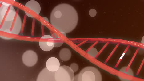 Animation-of-spots-and-shapes-over-dna-strand